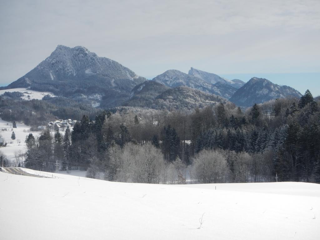 Ferienwohnung Nahe Fuschlsee, Hof Bei Salzburg Exterior photo